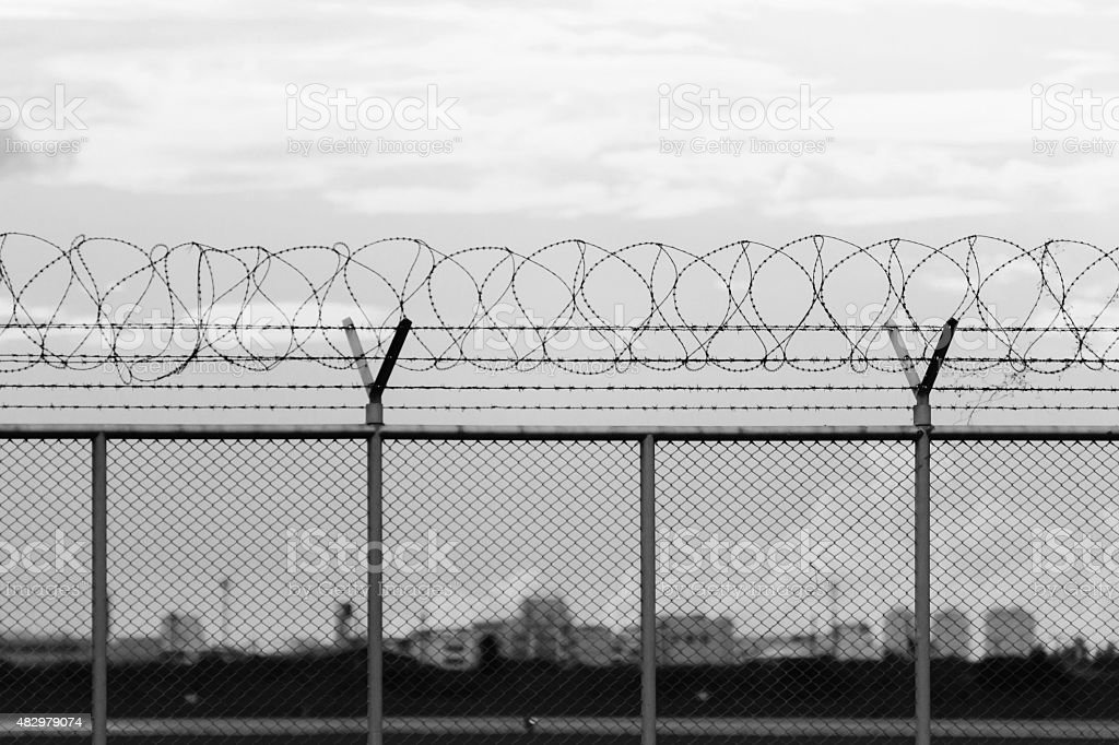 Detail Image Of Barbed Wire Fence Nomer 35