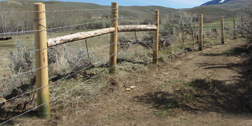 Detail Image Of Barbed Wire Fence Nomer 5