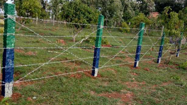 Detail Image Of Barbed Wire Fence Nomer 45