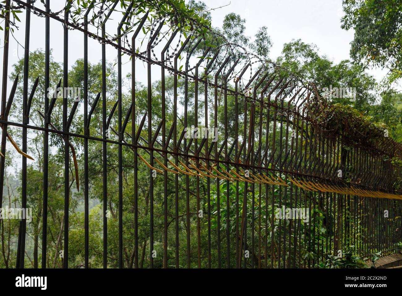 Detail Image Of Barbed Wire Fence Nomer 51