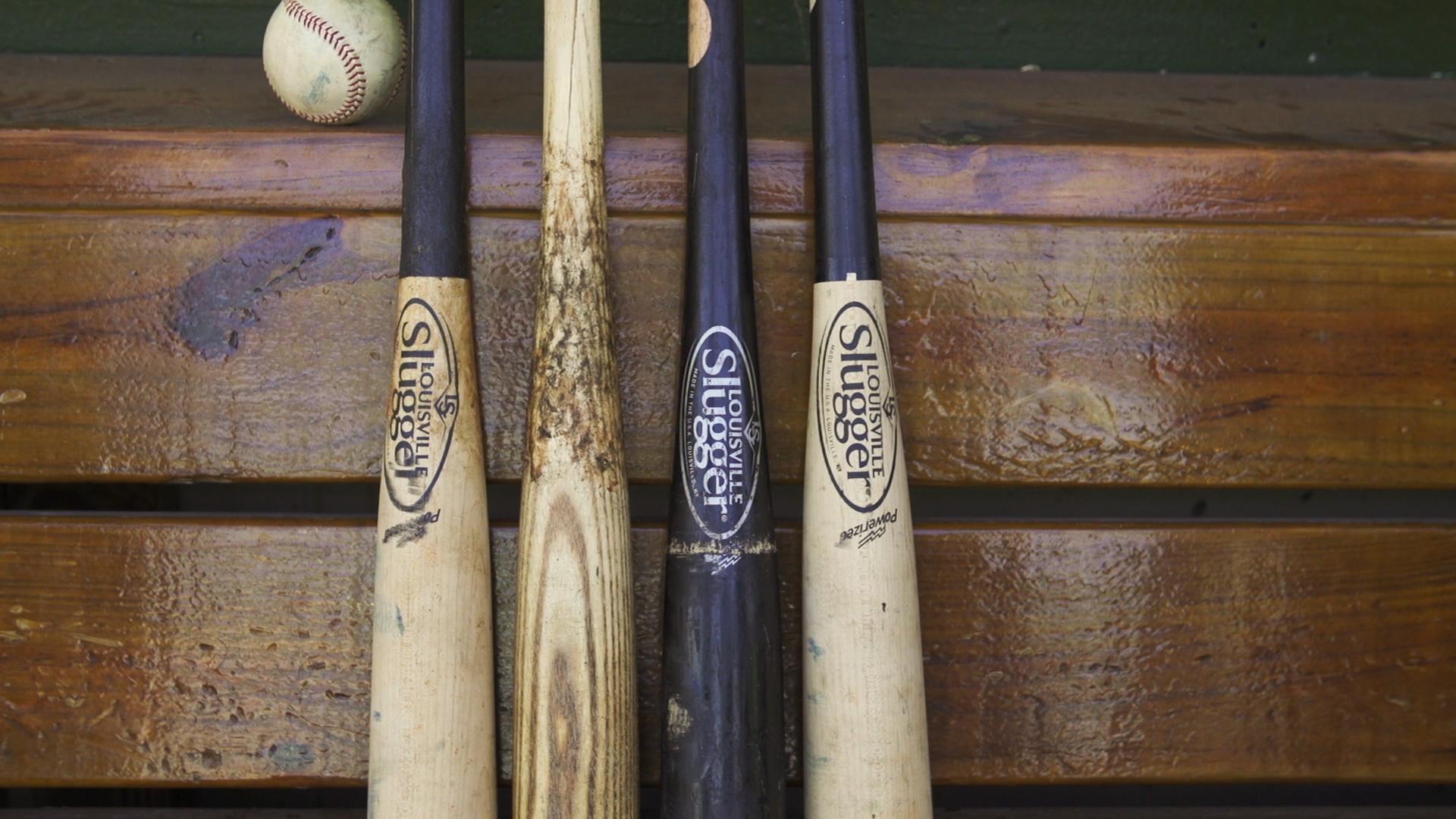 Detail Image Of Baseball Bat Nomer 57