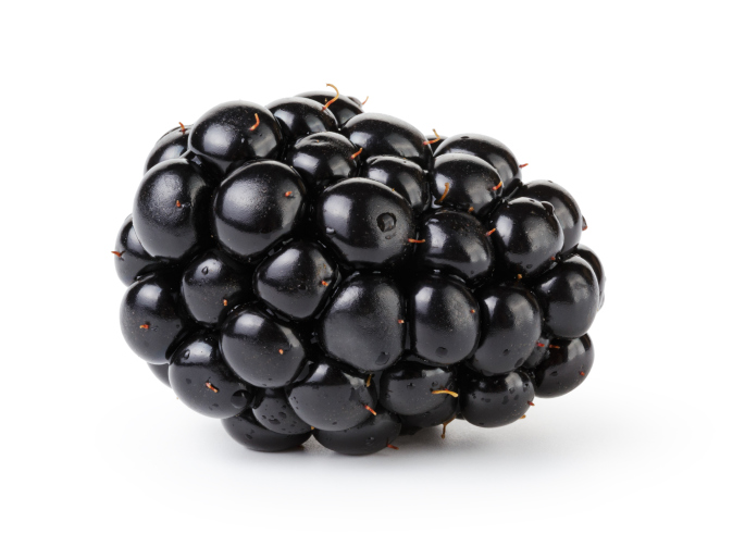 Detail Image Of Blackberry Fruit Nomer 11