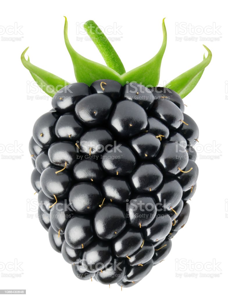 Detail Image Of Blackberry Fruit Nomer 12