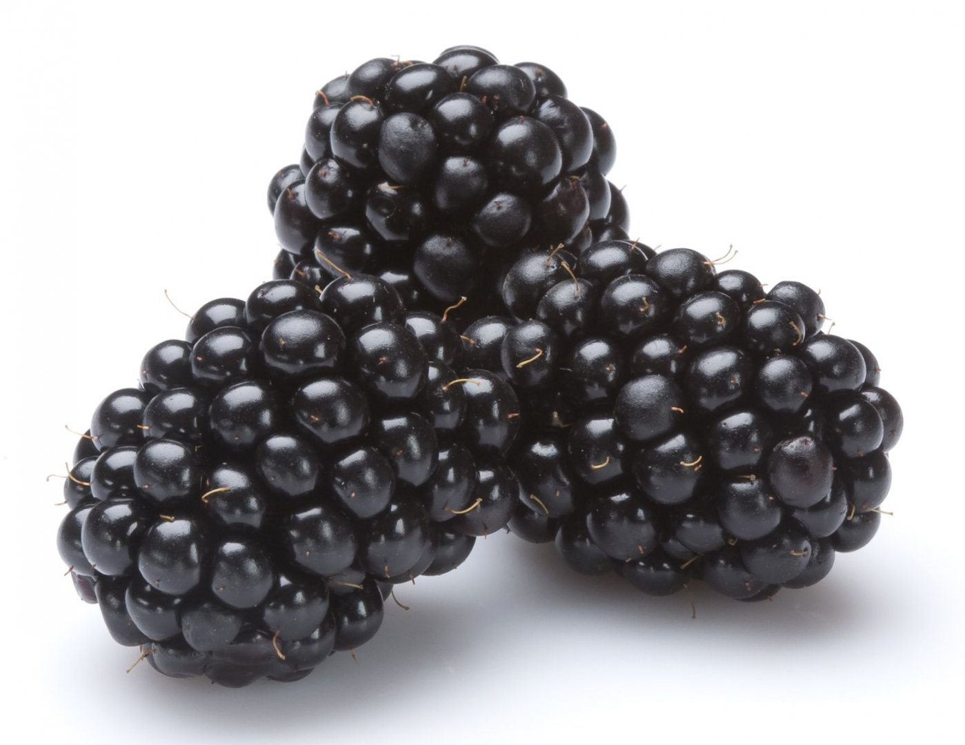 Detail Image Of Blackberry Fruit Nomer 3