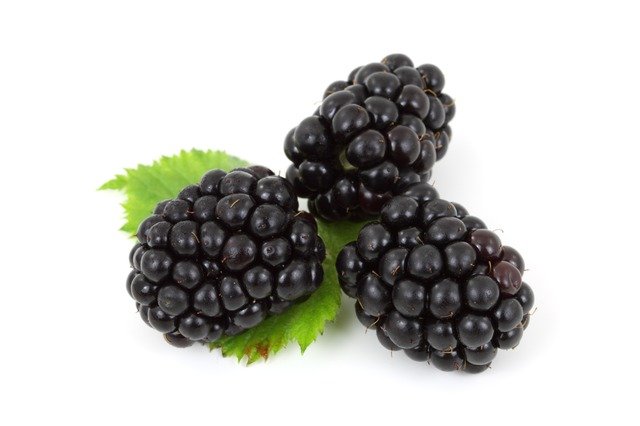 Detail Image Of Blackberry Fruit Nomer 22