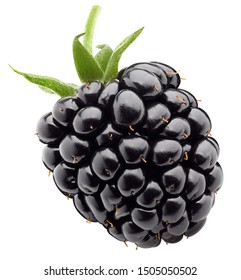 Detail Image Of Blackberry Fruit Nomer 29