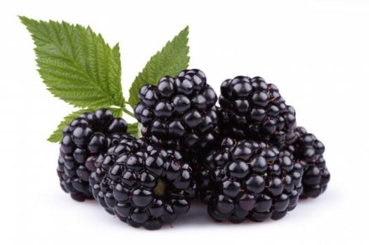 Detail Image Of Blackberry Fruit Nomer 46