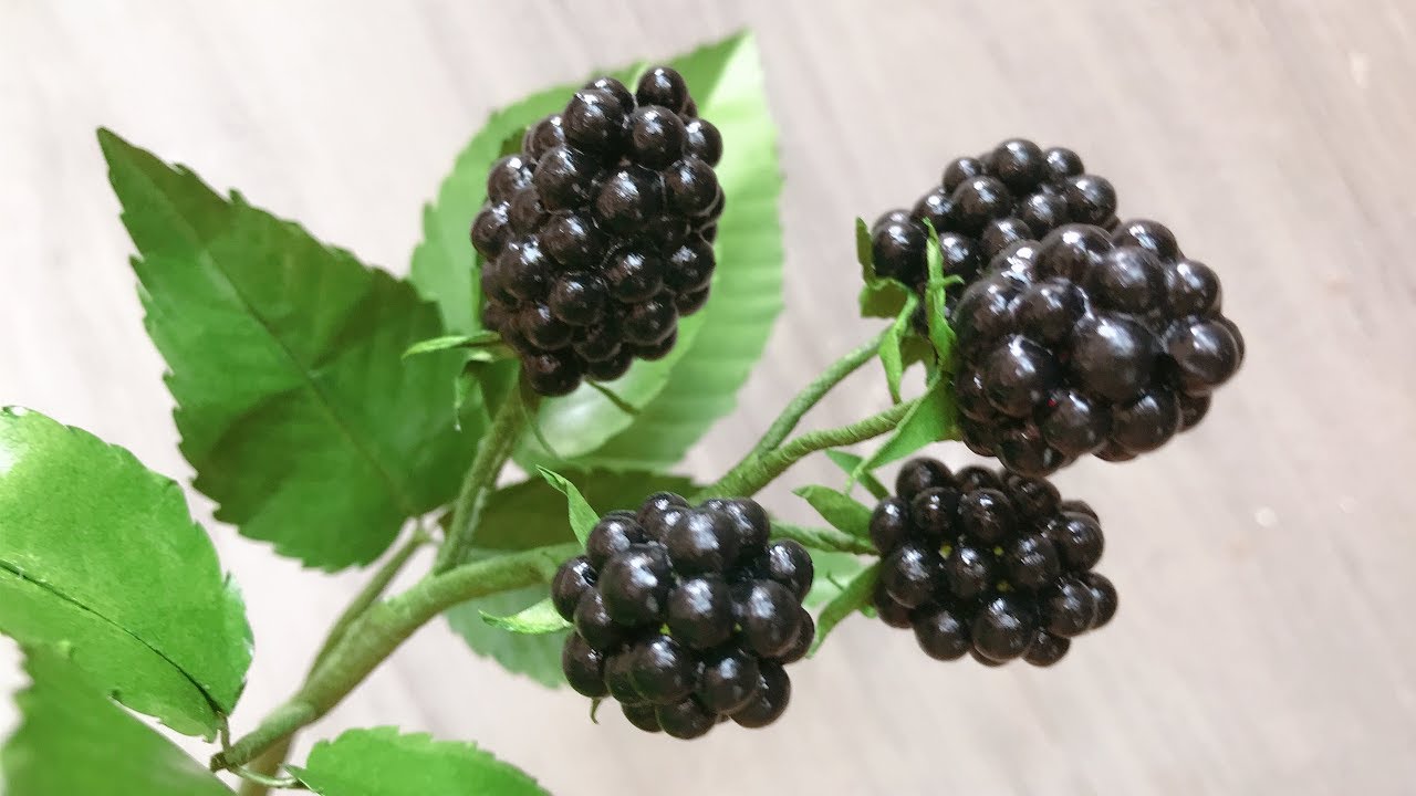Detail Image Of Blackberry Fruit Nomer 53