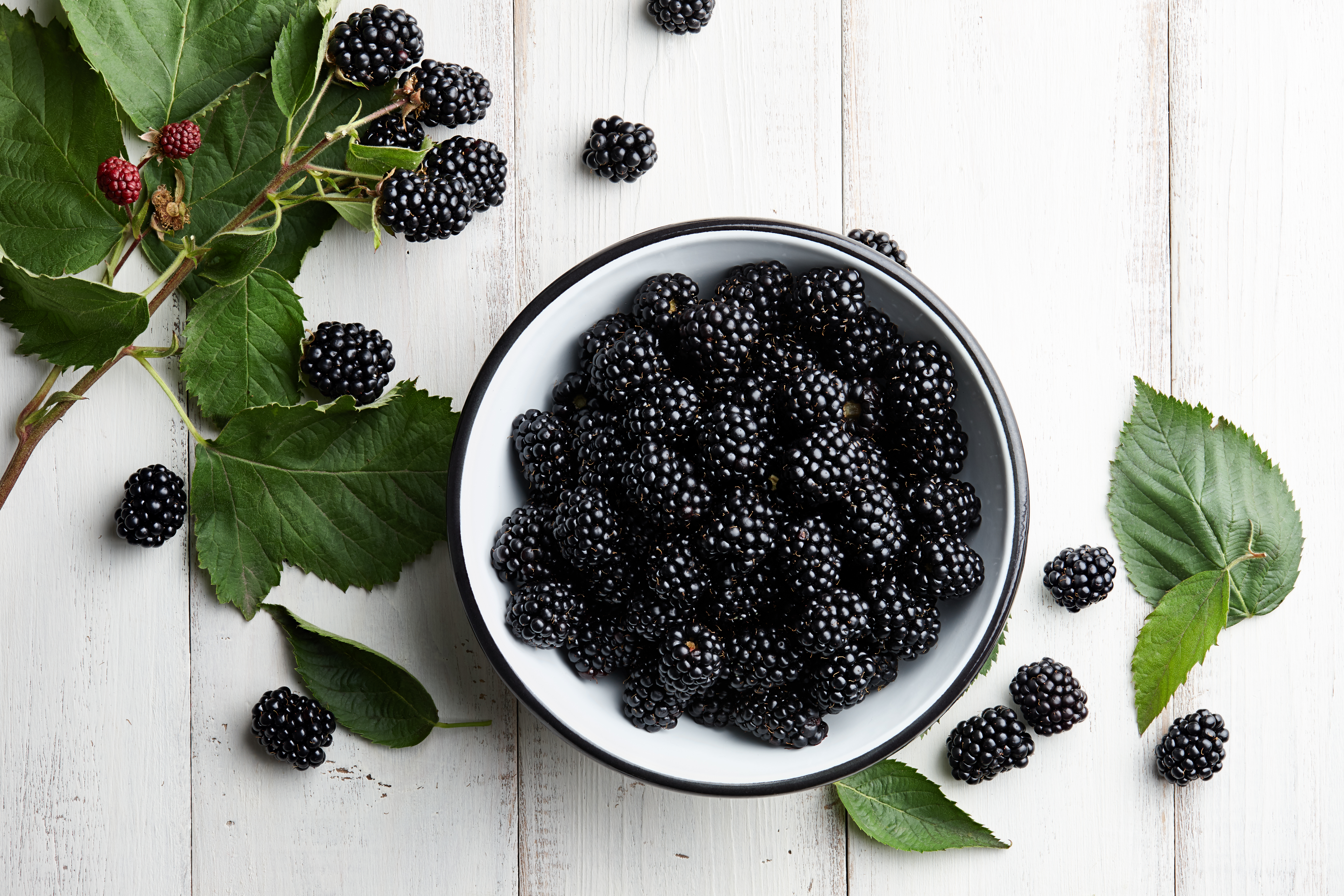 Detail Image Of Blackberry Fruit Nomer 7