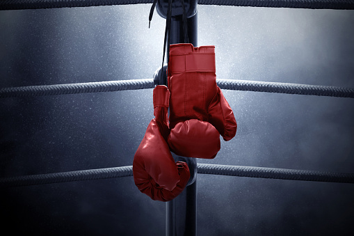 Detail Image Of Boxing Gloves Nomer 44