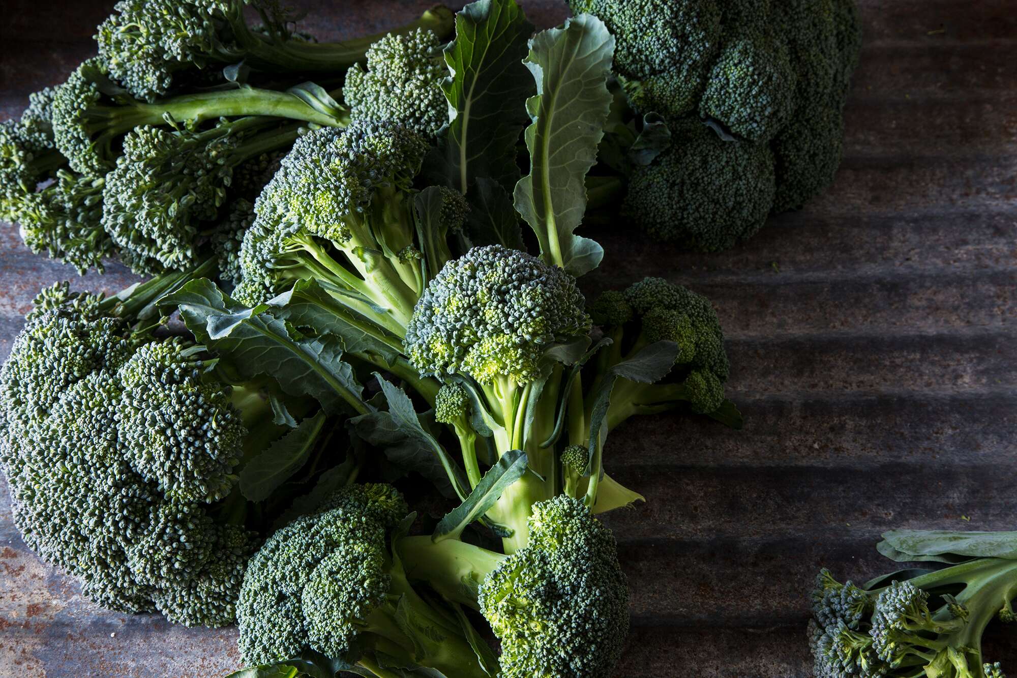 Detail Image Of Broccoli Nomer 42
