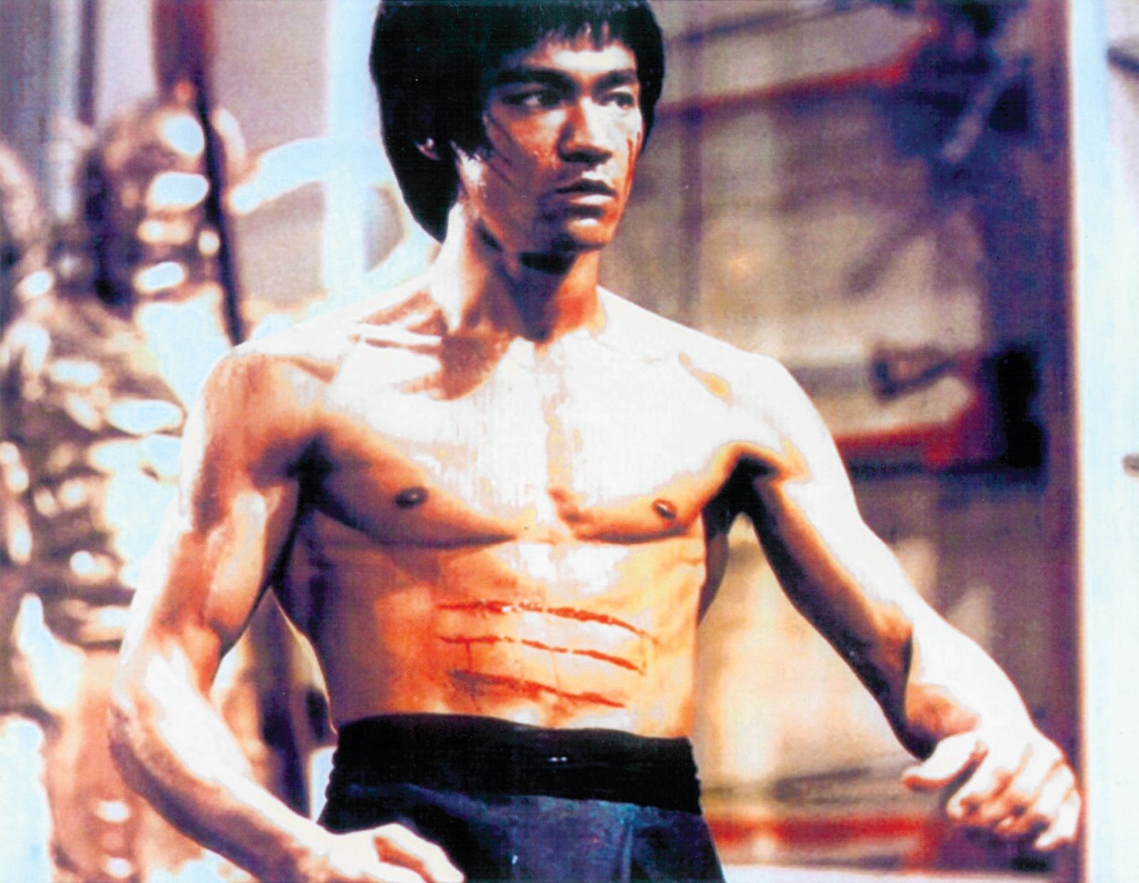 Detail Image Of Bruce Lee Nomer 2