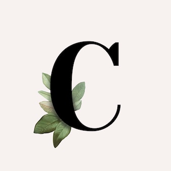 Detail Image Of C Nomer 15