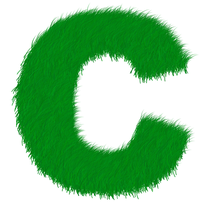 Detail Image Of C Nomer 18