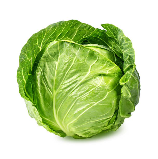 Detail Image Of Cabbage Nomer 2