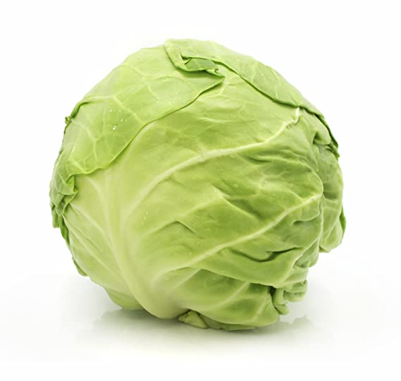 Detail Image Of Cabbage Nomer 24