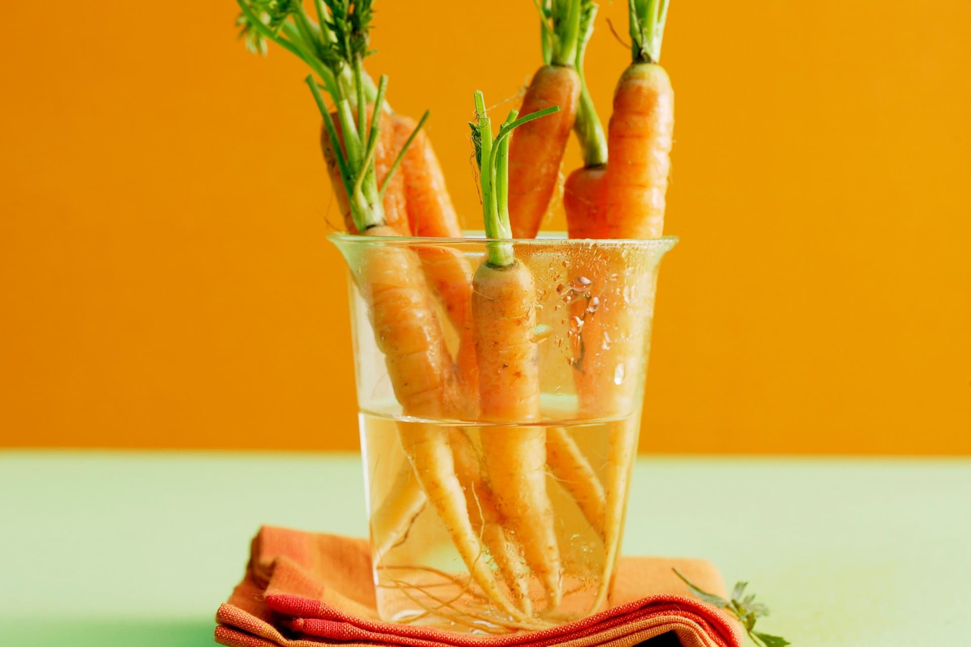 Detail Image Of Carrot Nomer 40
