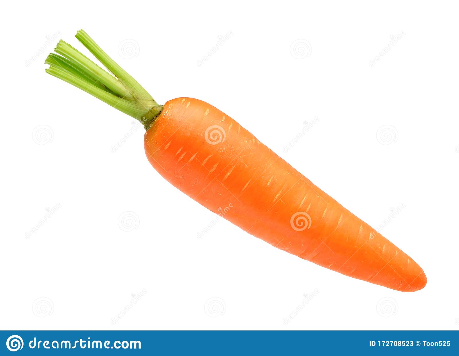 Detail Image Of Carrot Nomer 42