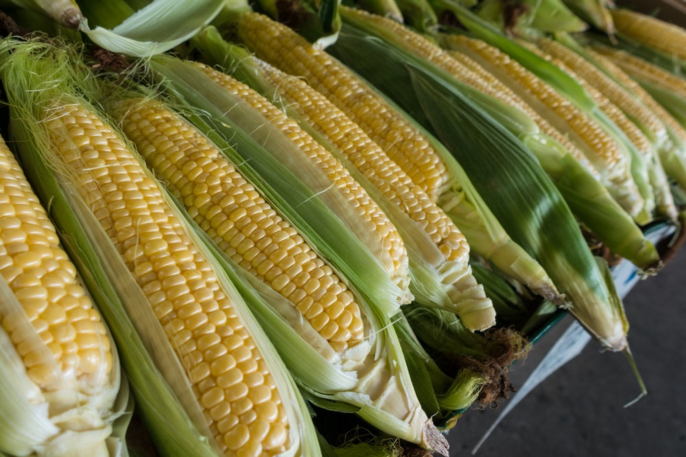 Detail Image Of Corn Nomer 11