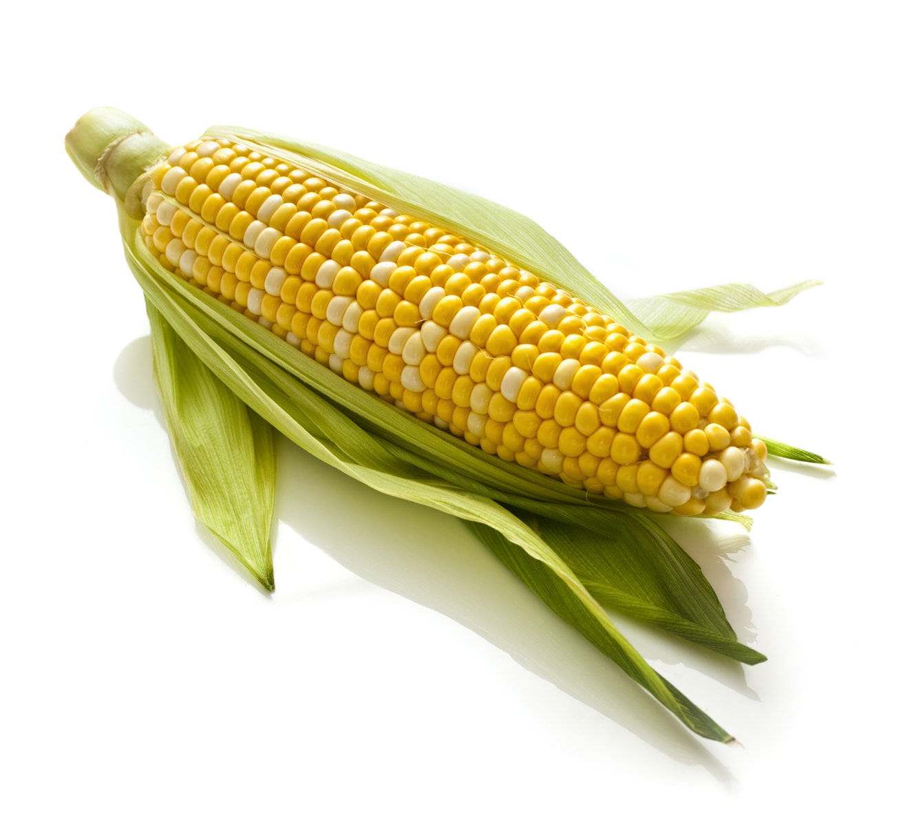 Detail Image Of Corn Nomer 16