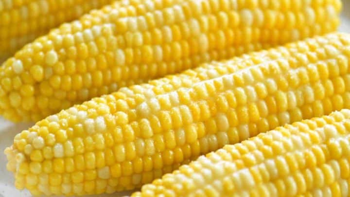 Detail Image Of Corn Nomer 43