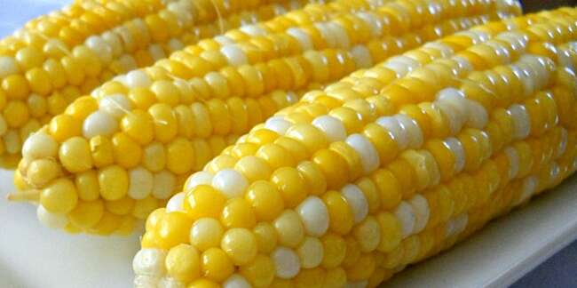 Detail Image Of Corn Nomer 44