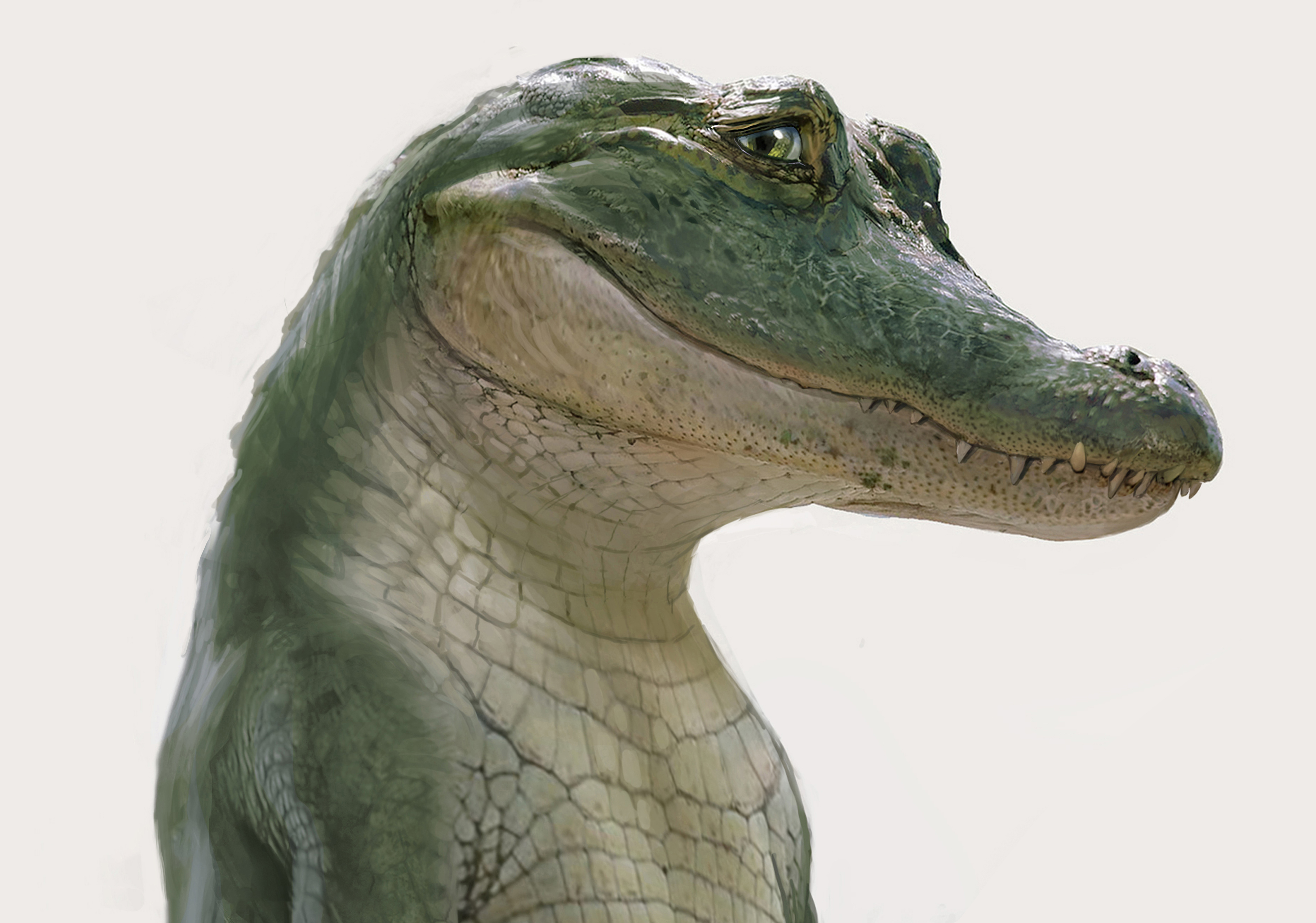 Detail Image Of Crocodile Nomer 39