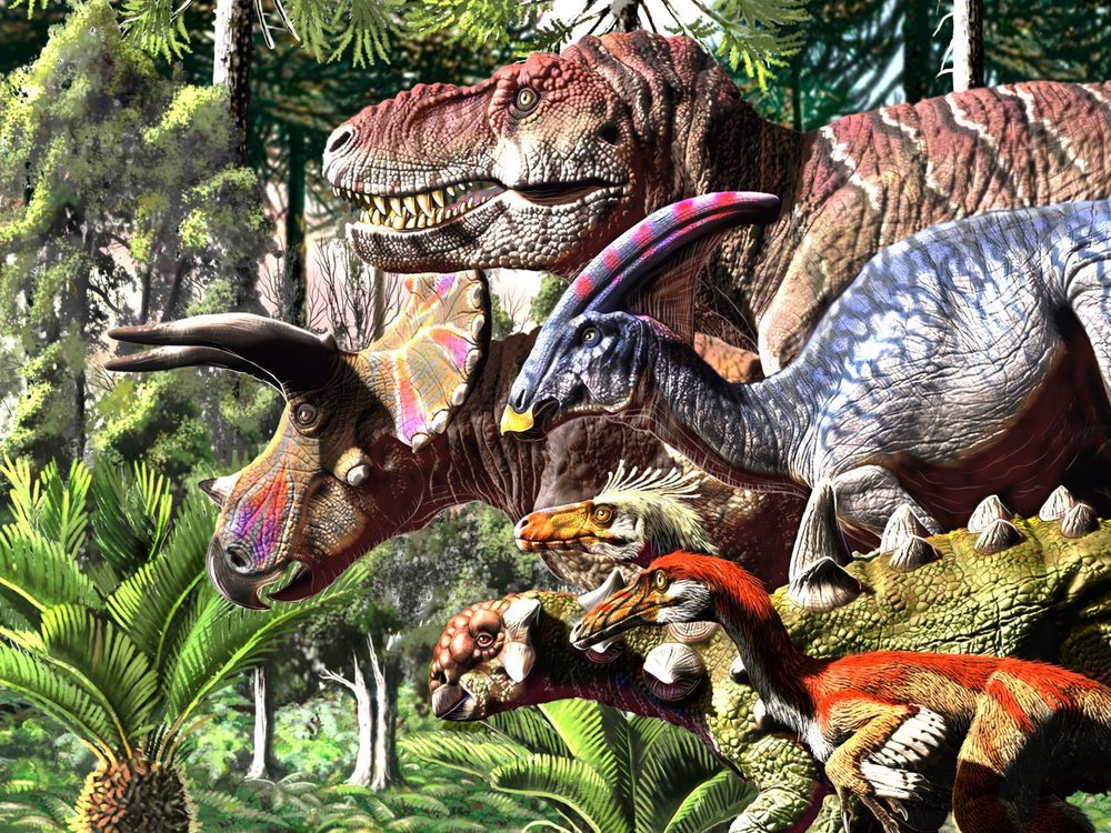 Detail Image Of Dinosaur Nomer 19