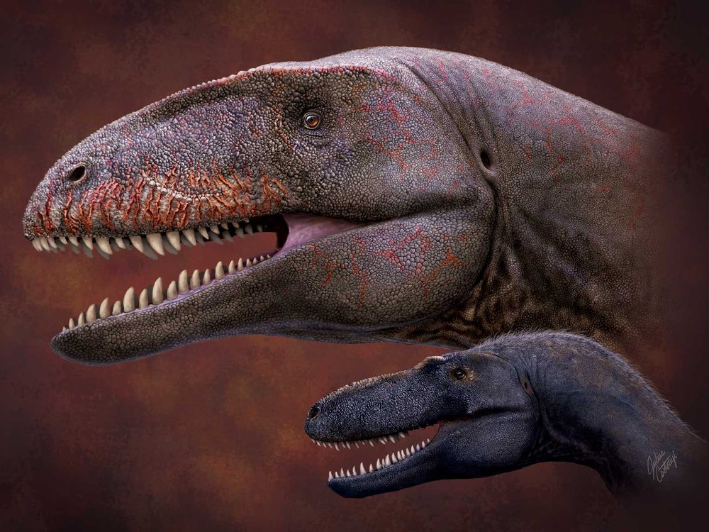Detail Image Of Dinosaur Nomer 32