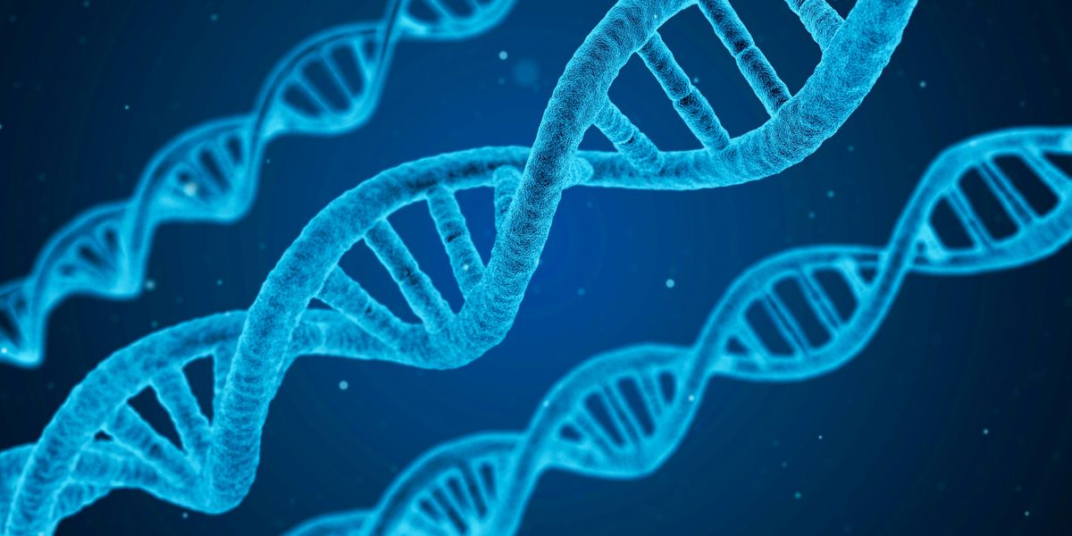 Detail Image Of Dna Strand Nomer 15