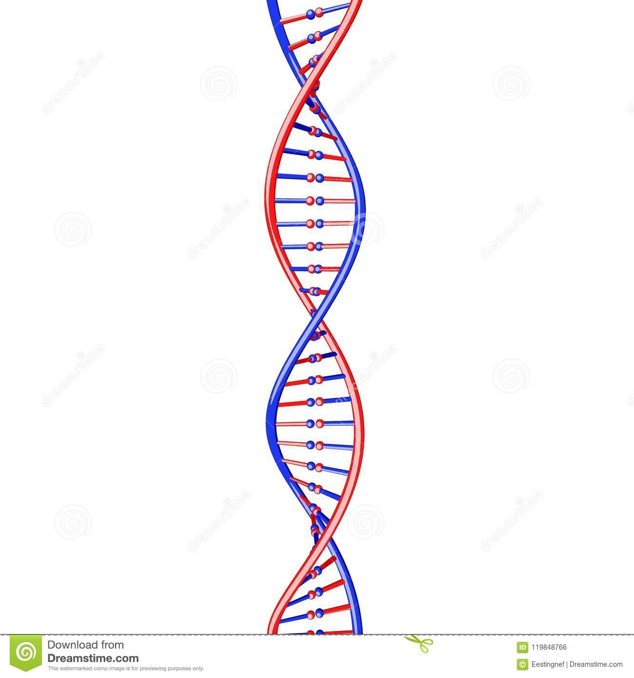 Detail Image Of Dna Strand Nomer 17