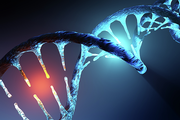 Detail Image Of Dna Strand Nomer 18