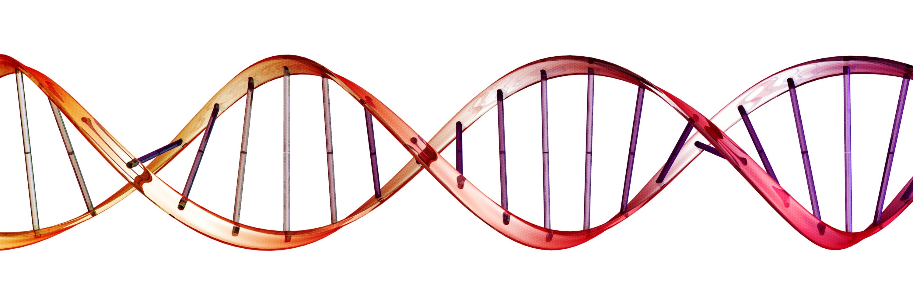 Detail Image Of Dna Strand Nomer 20