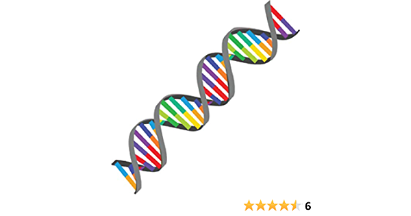 Detail Image Of Dna Strand Nomer 24