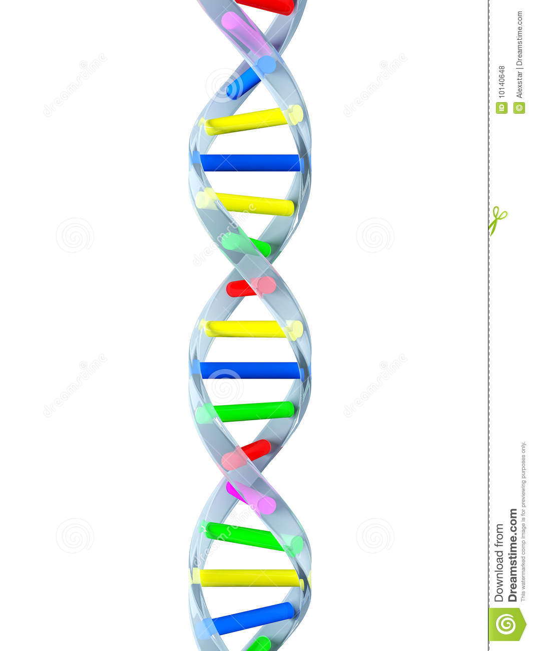 Detail Image Of Dna Strand Nomer 26