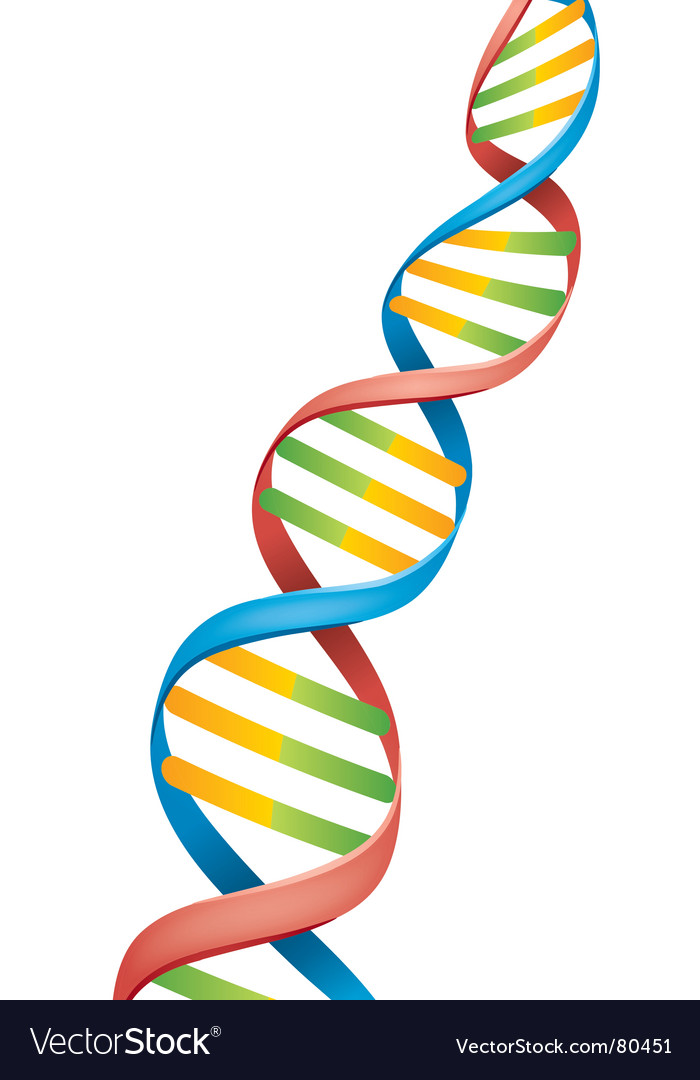 Detail Image Of Dna Strand Nomer 4