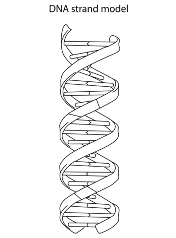 Detail Image Of Dna Strand Nomer 33