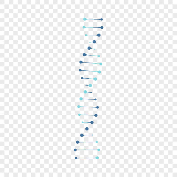 Detail Image Of Dna Strand Nomer 34