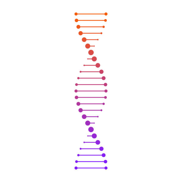 Detail Image Of Dna Strand Nomer 5