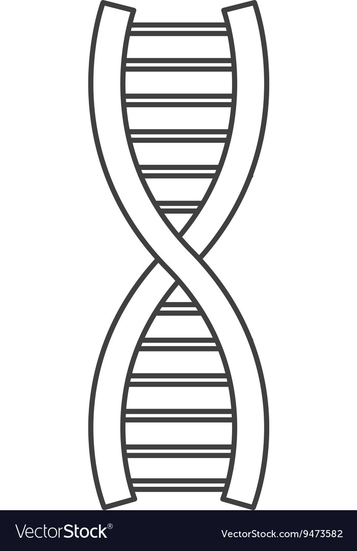 Detail Image Of Dna Strand Nomer 46
