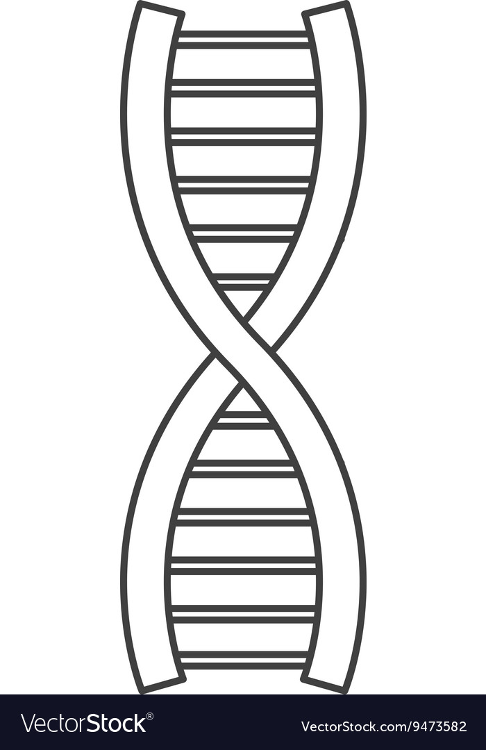 Detail Image Of Dna Strand Nomer 46