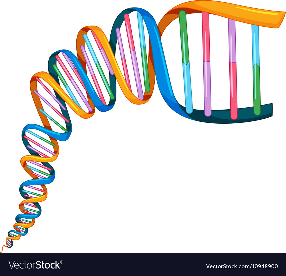 Detail Image Of Dna Strand Nomer 53