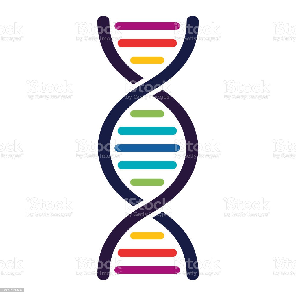 Detail Image Of Dna Strand Nomer 8