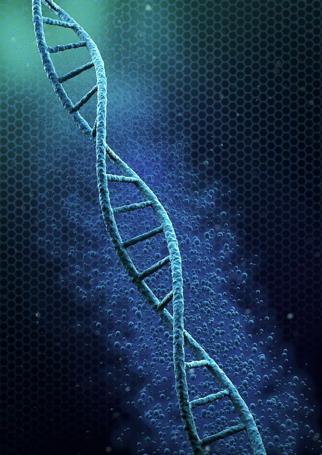 Detail Image Of Dna Strand Nomer 9