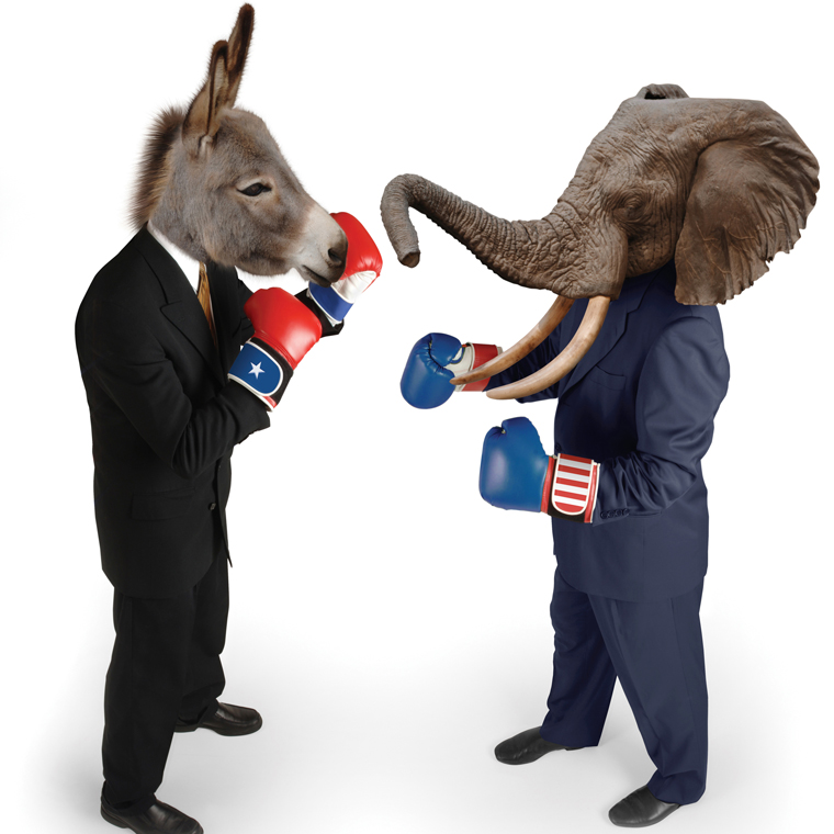 Detail Image Of Donkey Punching Kangaroo Nomer 20