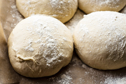 Detail Image Of Dough Nomer 29