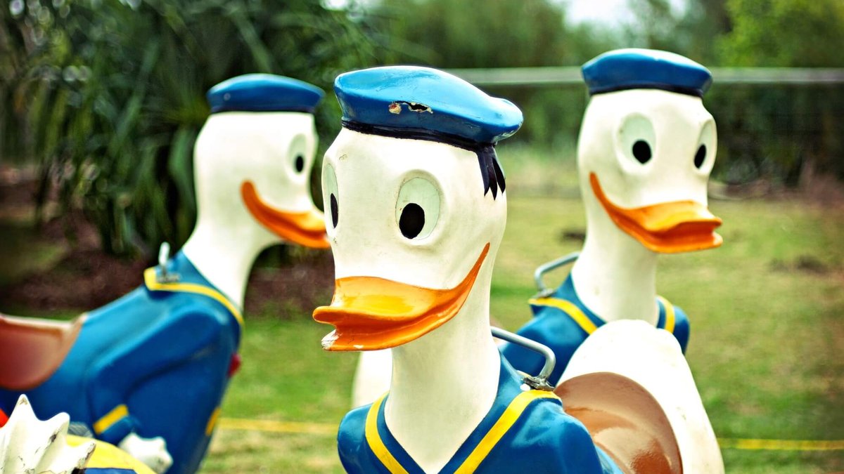 Detail Image Of Duck Nomer 52