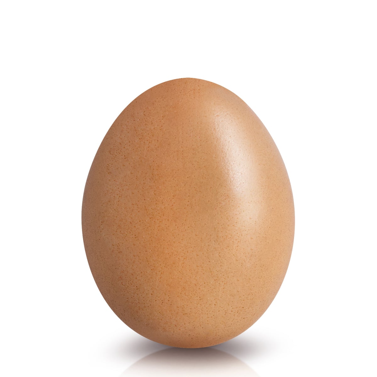 Image Of Egg - KibrisPDR