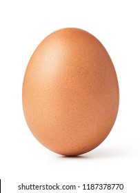 Detail Image Of Egg Nomer 12