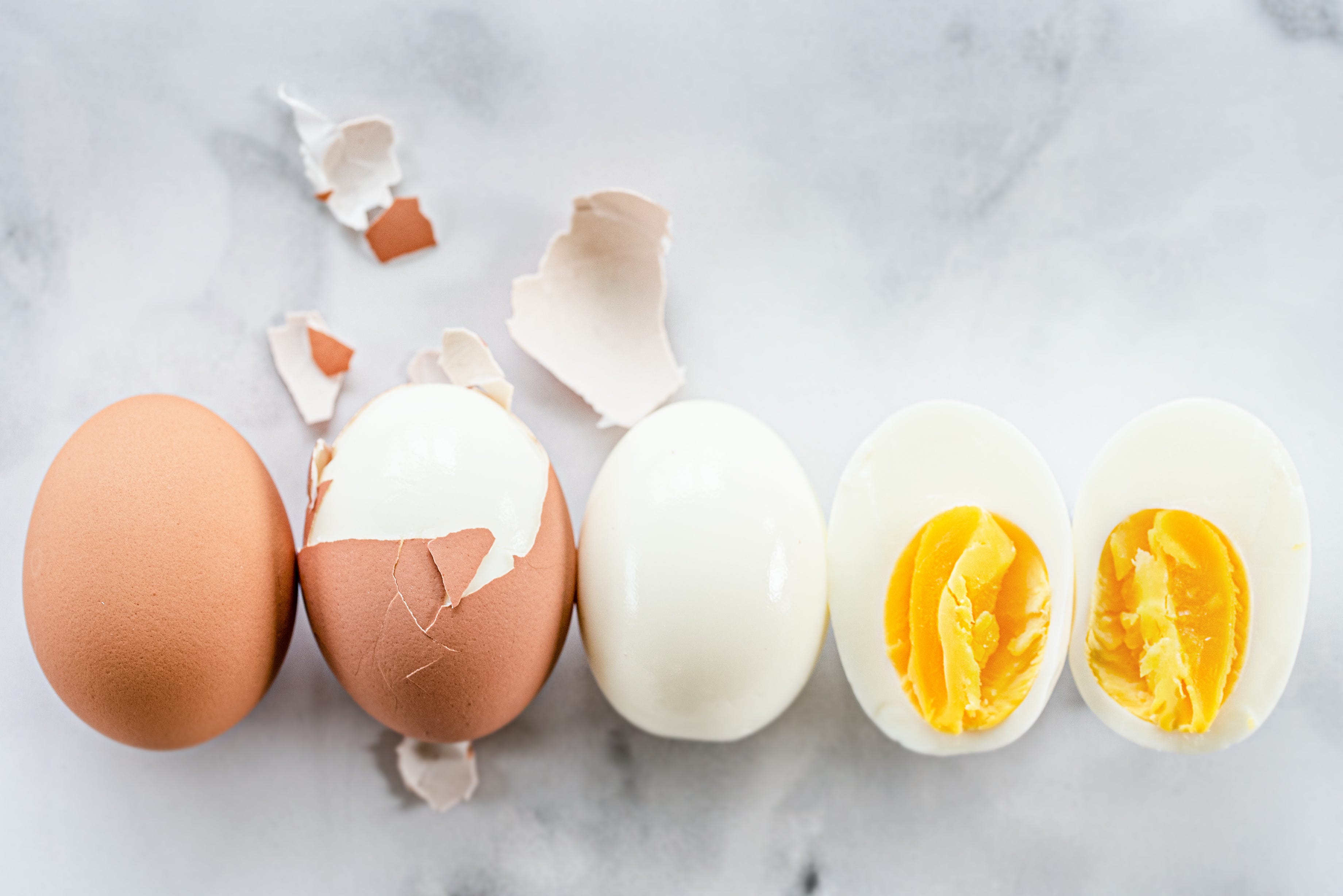 Detail Image Of Egg Nomer 19